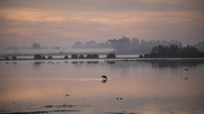 Doñana Nationaal Park in Andalusië Spanje