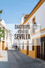 Dagtrips vanuit Sevilla