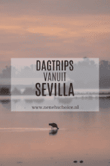 Tips voor dagtrips vanuit Sevilla