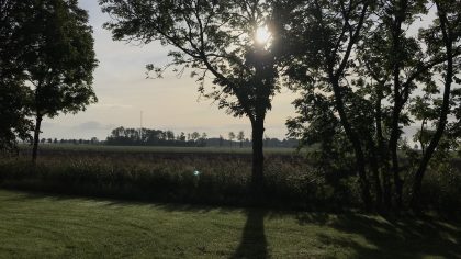 een ode aan het Groningse platteland camping uithuizermeeden