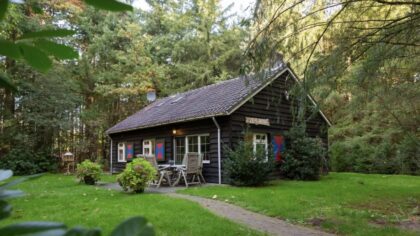 Boshuisjes op de Veluwe - Vierhouten