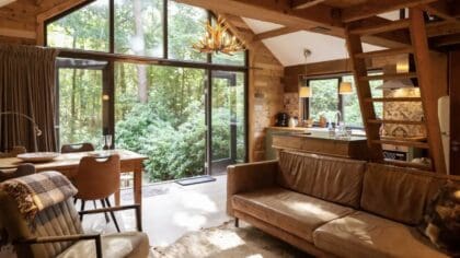 Boshuisje op de Veluwe - Treehouse Studio Vierhouten