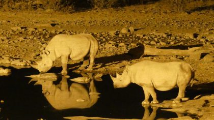 Etosha NP Namibië campground