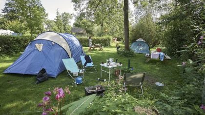 Camping Gronselenput Wijlre Limburg