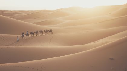 Dagtrips vanuit Ouarzazate - Merzouga Marokko dromedarissen karavaan