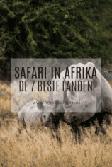 Safari in Afrika Kruger NP Zuid-Afrika