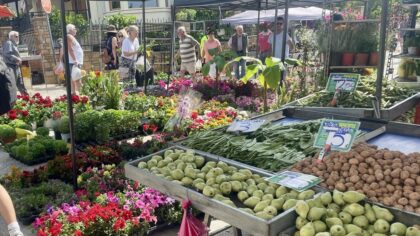 Wat te doen in Nikiti Farmers Market Chalkidiki Griekenland