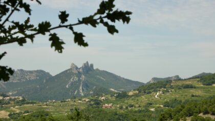 Dentelles de Montmirail Provence