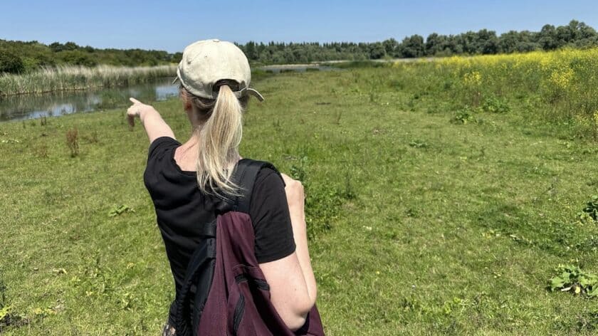 Wandelen Oostvaardersplassen Irene wijzen