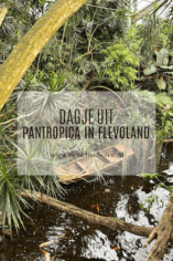 Pantropica in Flevoland Nederland