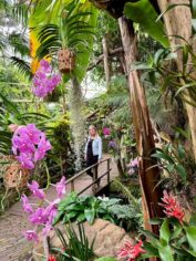 Pantropica in Flevoland Tropica Irene brug