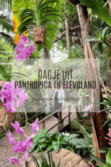 Pantropica in Flevoland Nederland