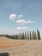 Gladiator 2 filmlocaties - Val d'Orcia Toscane Italië