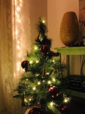 Groene Kerst tips: Mini kunst kerstboom